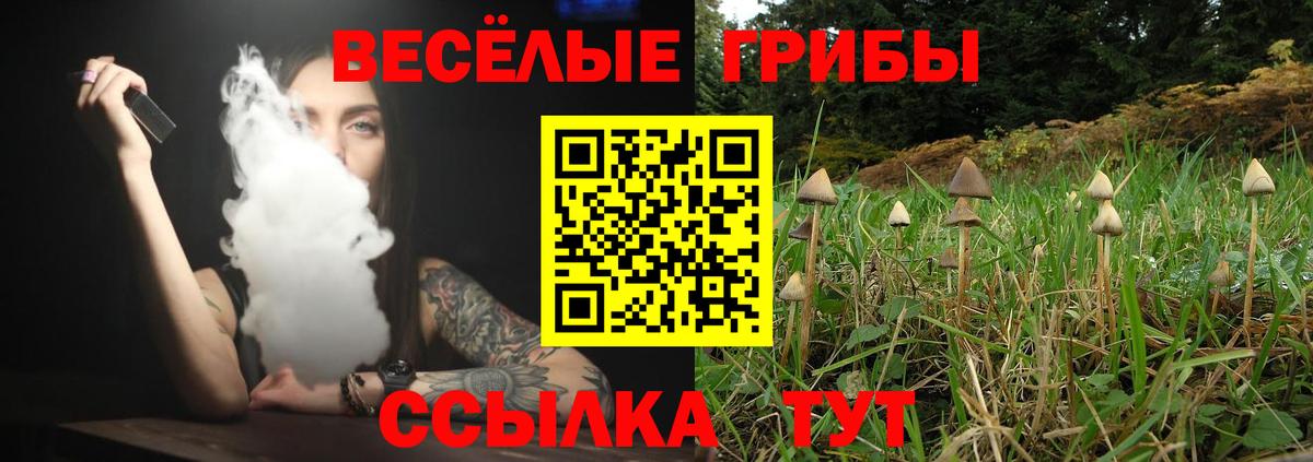 Галлюциногенные грибы Cubensis Людиново