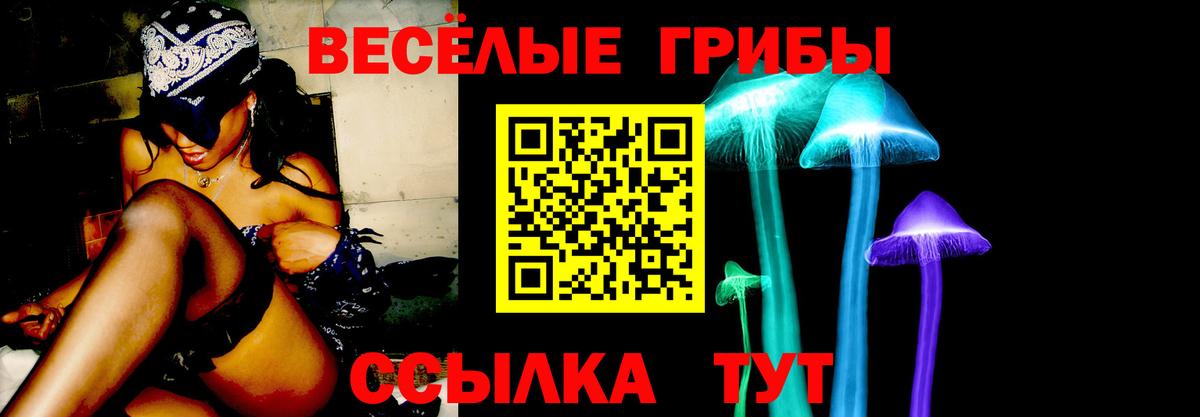 Галлюциногенные грибы Psilocybe  даркнет сайт  Людиново  Псилоцибиновые грибы мицелий  Вход с VPN 